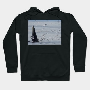 SMÖRGÅSBOARD Hoodie